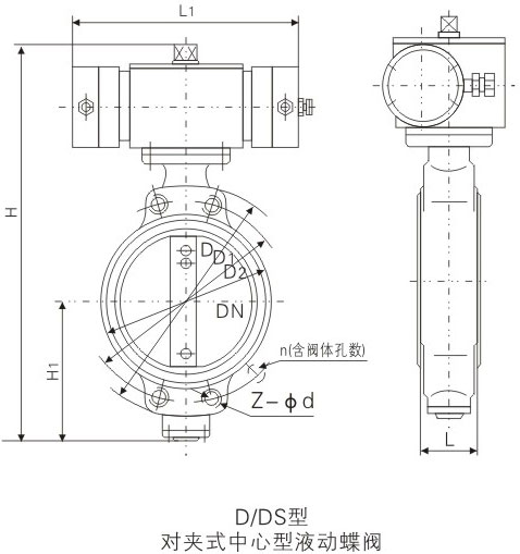 D/DSҺ(dng)(du)Aʽо̼䓵yߴD